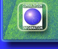 Consultation Information